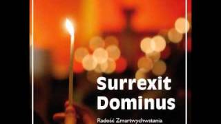 Taize  Venite exultemus Domino [upl. by Rodger232]