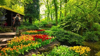 4K Keukenhof Botanical Gardens  Amsterdam  Netherlands Walking Tour [upl. by Anitel265]