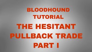 The Hesitant Pullback Bloodhound Tutorial Part I [upl. by Espy]