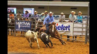 TEAM PENNING COMPETITION • CHEYENNE WYOMING [upl. by Uziel]