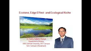 Ecotone Edge Effect and Ecological Niche  Ecology and Botany [upl. by Fidelity852]