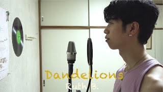 Ruth B  Dandelions Japanese Cover 【和訳付きカバー】 [upl. by Block]