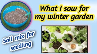 Soil mix for seedling Kitchen gardeningWhat I sow for my winter garden [upl. by Ateloj]