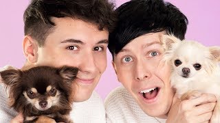 Dan and Phil AND DOGS [upl. by Yotal]