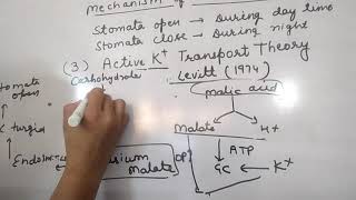 Mechanism of stomatal movement [upl. by Alecram]