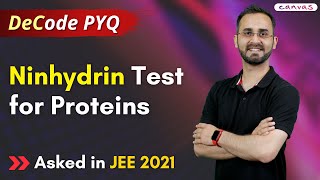 The Ninhydrin Test  What is it and What does it do  JEE Main 2021  PYQ  Canvas Classes [upl. by Ardnuahc]