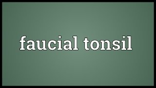 Faucial tonsil Meaning [upl. by Llenil379]