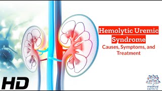 Hemolytic Uremic Syndrome A Silent Threat Unveiled [upl. by Nilahs]