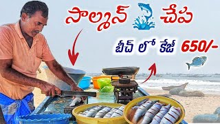 Salmon Fish Cutting  Chirala Beach Fish Market teluguvlogs fishing tuna shark streetfood [upl. by Troy]