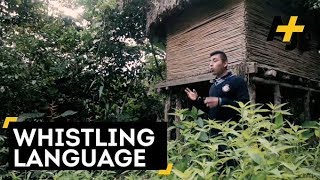 Indigenous Whistle Language In Mexico [upl. by Billen]