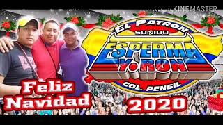 🔴Martha La Reyna Version 2020🔴 Limpia  Cumbia Chingona Exito quotEsperma Y Ronquot  Gatote Sonidero [upl. by Cirilla417]