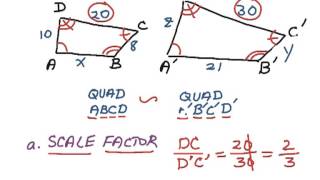 How to Geometry 73 Similar Polygons [upl. by Arliene]