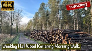 Weekley Hall Wood Kettering 😎  Morning Walk 4K  DJI Action 2 [upl. by Bubb]