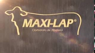 MAXILAP® Clorhidrato de Zilpaterol [upl. by Ignacia]