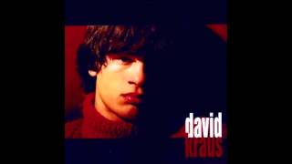 David Kraus  Holka z Moravy album davidKraus [upl. by Amsirac]