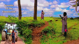 Serenity in the Kenyan Countryside A Calming Village Tour at the Slopes of Aberdares  Slow Living [upl. by Sukramaj]