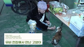 BBcut 뮤비 현장에서 만난 고양이😽  Slow Mo MV [upl. by Fairfield]