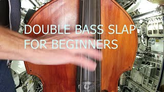 Rockabilly Double Bass slap tutorial for beginners from the International Slap Station [upl. by Wendt293]