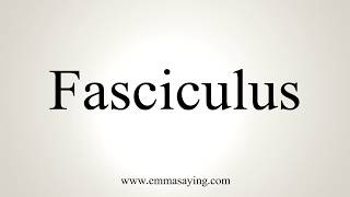 How To Pronounce Fasciculus [upl. by Elmer]