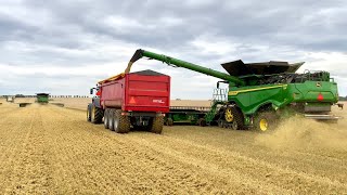 2X John Deere X9 1100 And 1X Claas Lexion 780  High Efficiency Farming At Svenstorps Gods 4K [upl. by Yorel537]