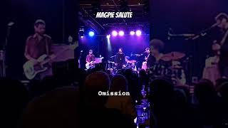 Magpie Salute on Omission [upl. by Onibas]