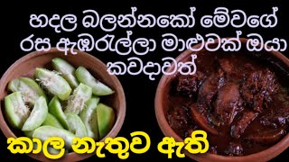 රසට පාටට ඇඹරැල්ලා කරියක් Easy and tasty ambarella curry in sinhala Ambarella maluwa Village girl [upl. by Prisca]