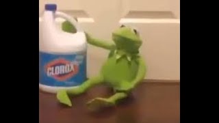 KERMIT THE FROG MEMES 2 [upl. by Ahslek878]