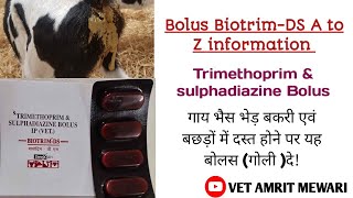 Bolus biotrim Ds uses in cattleVeterinary bolus Trimethoprim amp sulphadiazine सम्पूर्ण जानकारी [upl. by Nodnrb]