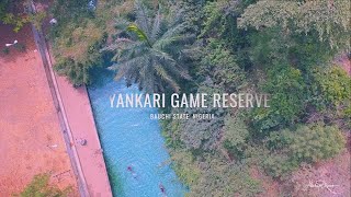 Explore Yankari Game Reserve [upl. by Isma]