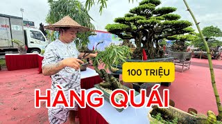 100 TRIỆU MỚI MUA ĐƯỢC CÂY TRE BONSAI QUÁI  TRẢI NGHIỆM LÀM LÀO THỦ MÀ ĐỨ ĐỪ [upl. by Alekal]