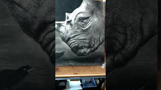 Drawing Animals using Pencil ✏️ 🐦‍⬛🦏 drawing pencil artist animals [upl. by Ardnod]