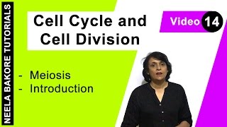 Cell Cycle amp Cell Division  NEET  Meiosis  Introduction  Neela Bakore Tutorials [upl. by Pilloff]