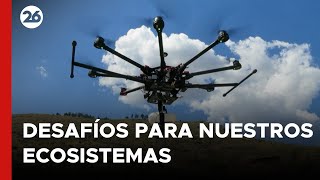 ¿Cómo funcionan los drones reforestadores  26Global [upl. by Anatole898]