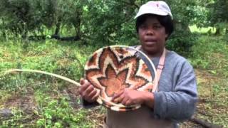 Baskets in Botswana  on safari  an intro by Florence and Nyama [upl. by Nailluj164]