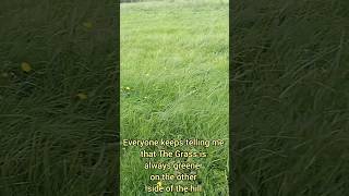 The Grass is always greener on the otherside of the hill [upl. by Drice639]