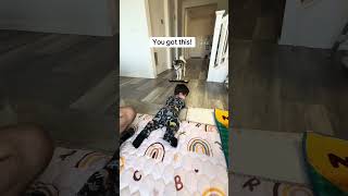 Sapphie the pomsky motivates baby brother to crawl [upl. by Watkins]