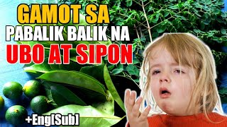 MABISANG GAMOT SA PABALIK BALIK NA UBO AT SIPON  HALAMANG GAMOT [upl. by Waverly]