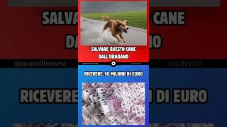 Nessuno ha salvato il cane 🥺 quiz shorts italia [upl. by Lozano416]