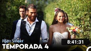 Pájaro Soñador Temporada 4 Todos Los Capítulos Doblado En Español [upl. by Notsrik955]