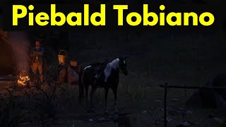 Hungarian Halfbred Piebald Tobiano Red Dead Redemption 2 [upl. by Oak323]