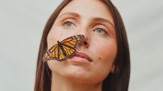 Lily Meola  Butterfly Official Lyric Video [upl. by O'Connell]