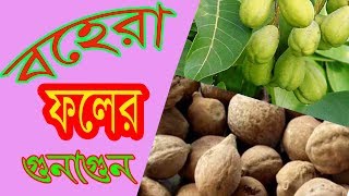 বহেরা ফলের পচুর গুনাগুনbohera foler gunagun [upl. by Ellertnom959]