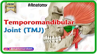 Anatomy of Temporomandibular joint  TMJ  Animation Gross Anatomy medical animations [upl. by Joeann]