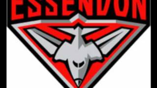 Essendon Football Club  Theme Song [upl. by Fanchan542]