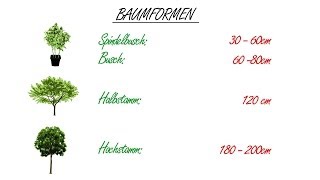 Obstbaumschnitt Der Kurs Theorie Kap 4 Baumformen [upl. by Corsetti]