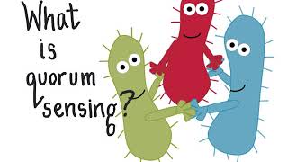 CHM4930 Introduction to Quorum Sensing [upl. by Wivinia]