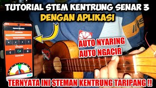 TUTORIAL STEM KENTRUNG SENAR 3 NYARING⁉️ Request paling banyak💯 [upl. by Llemor158]