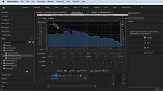 How to Use Parametric EqualizerAdobe Premiere Pro Complete Video Editing Masterclass Udemy [upl. by Sices]