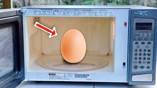 Egg Explodes in a Microwave [upl. by Balch]