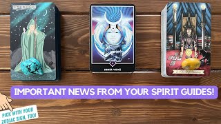 Important News from Your Spirit Guides 📞 😇 🎉  Timeless Reading [upl. by Clarisse456]